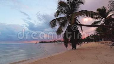美丽的热带加勒比岛，日出时有<strong>海</strong>滩、<strong>海</strong>洋和椰子棕榈树。 暑假背景